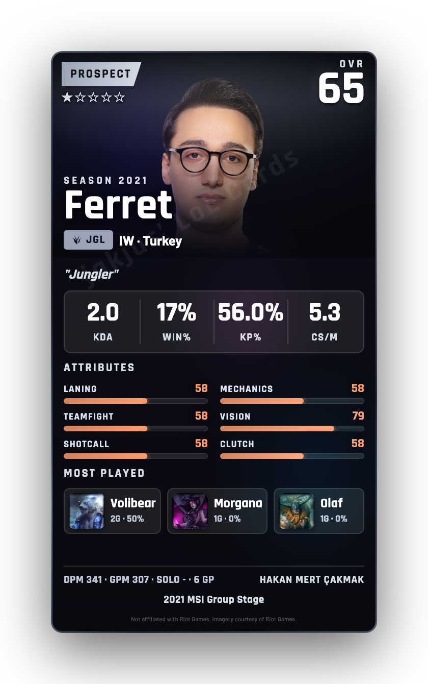Ferret